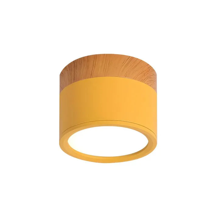 Nordic Cylinder LED Ceiling Light – Minimalist Flush Mount for Modern Hallways