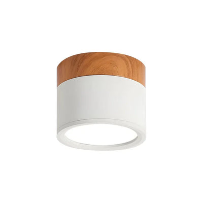 Nordic Cylinder LED Ceiling Light – Minimalist Flush Mount for Modern Hallways