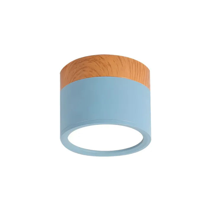 Nordic Cylinder LED Ceiling Light – Minimalist Flush Mount for Modern Hallways