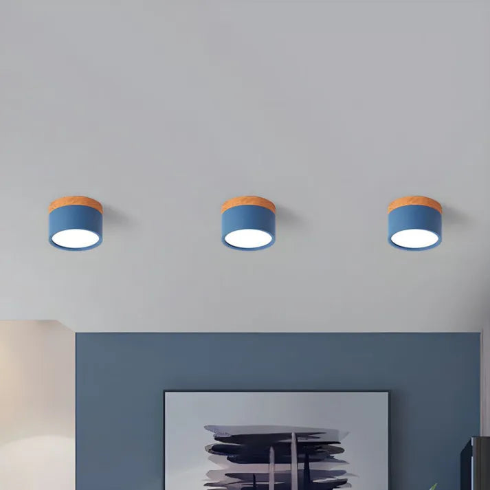 Nordic Cylinder LED Ceiling Light – Minimalist Flush Mount for Modern Hallways