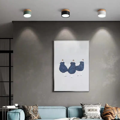 Nordic Cylinder LED Ceiling Light – Minimalist Flush Mount for Modern Hallways