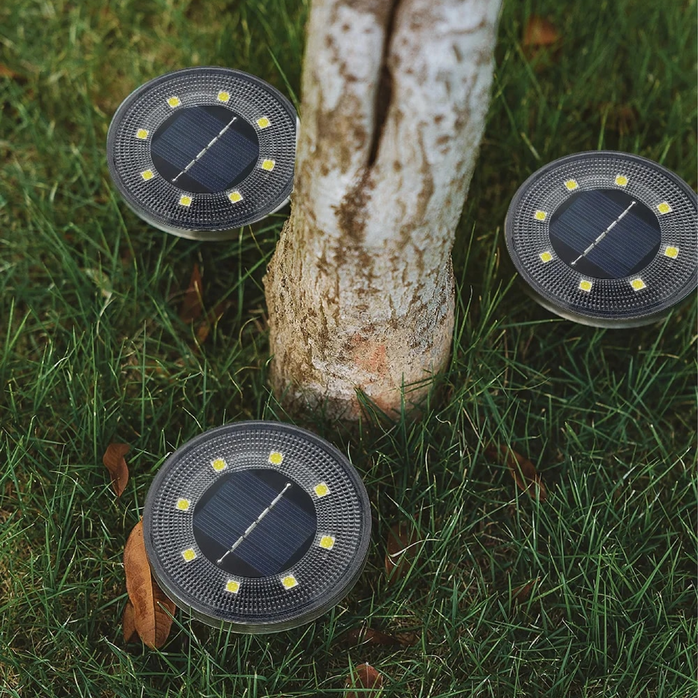 LED Solar Garden Lights – Energy-Efficient Outdoor Illumination for a Magical Atmosphere
