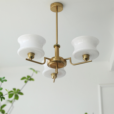 Vintage Charm with a Modern Twist – The Hoveder Chandelier