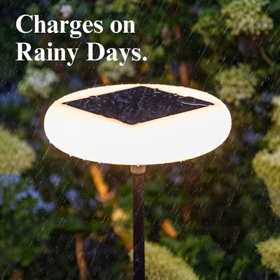 Signature Outdoor Solar Light – Stylish & Energy-Efficient Garden Illumination