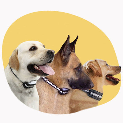 2-in-1 Wireless Dog Fence & Training Collar – Safety and Training Simplified