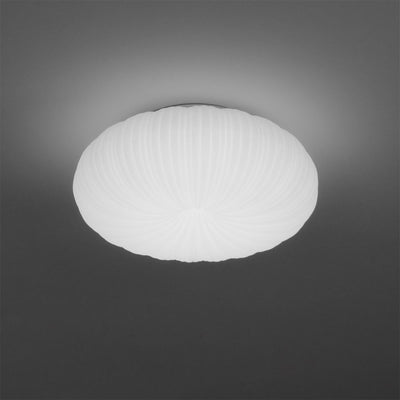 Robby Ceiling Light – Elegant Dimmable LED Lighting with Remote Control