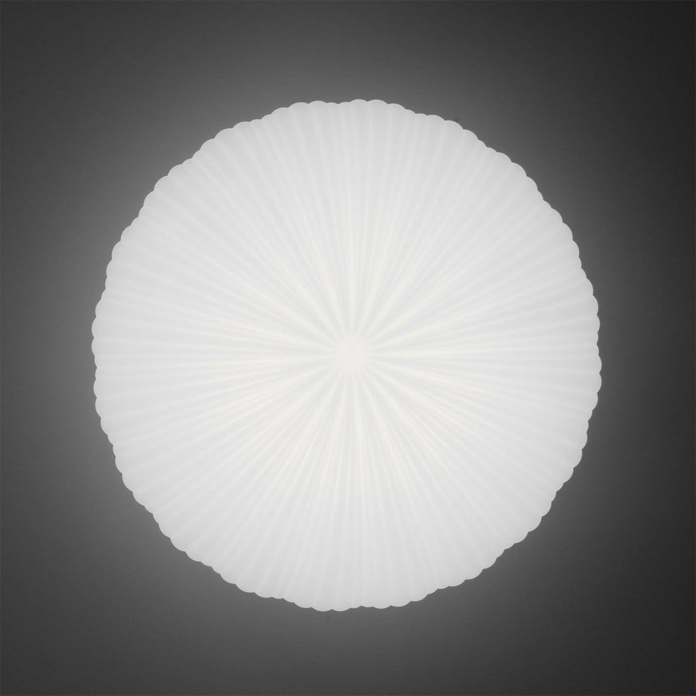 Robby Ceiling Light – Elegant Dimmable LED Lighting with Remote Control