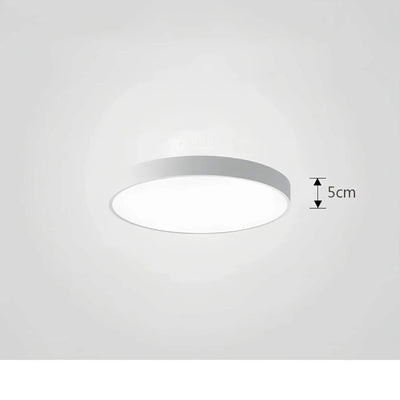 ChromaCraft Luxury Ceiling Light – Elegance and Customizable Ambience