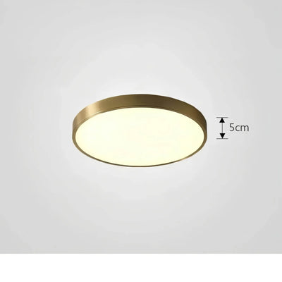 ChromaCraft Luxury Ceiling Light – Elegance and Customizable Ambience