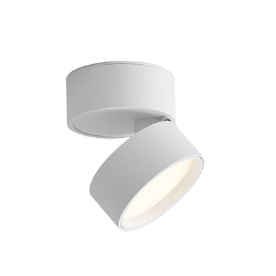 Savvina Surface Ceiling Light – Adjustable Elegance for Precision Lighting