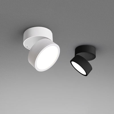 Savvina Surface Ceiling Light – Adjustable Elegance for Precision Lighting