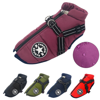 Insulated Dog Winter Coat with Harness – Warmth, Comfort & Safety