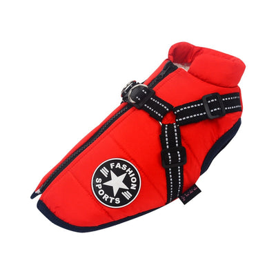 Insulated Dog Winter Coat with Harness – Warmth, Comfort & Safety