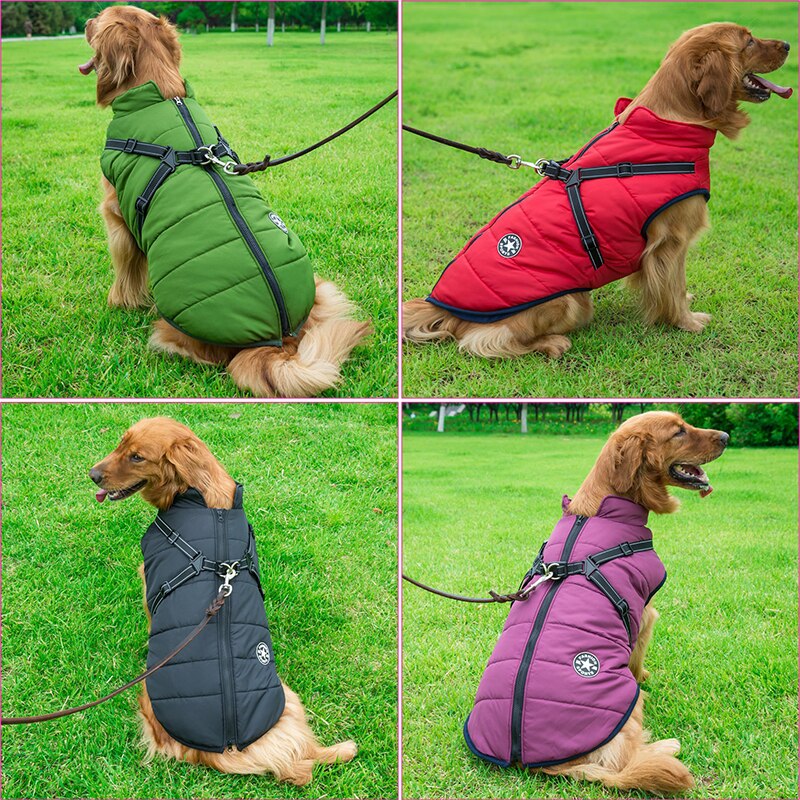 Insulated Dog Winter Coat with Harness – Warmth, Comfort & Safety