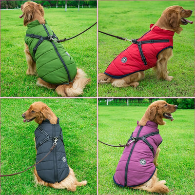 Insulated Dog Winter Coat with Harness – Warmth, Comfort & Safety