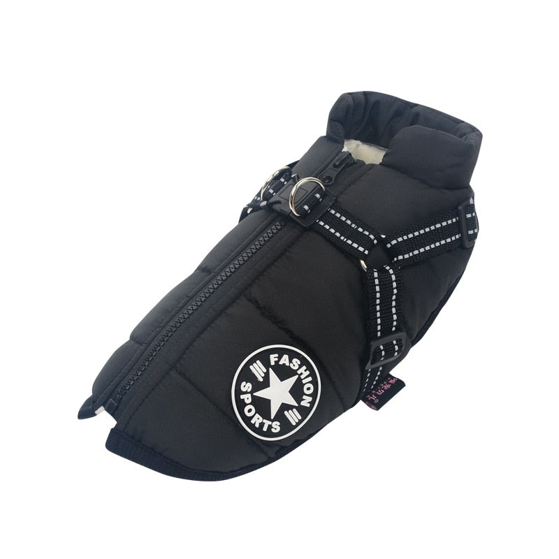 Insulated Dog Winter Coat with Harness – Warmth, Comfort & Safety