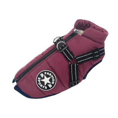 Insulated Dog Winter Coat with Harness – Warmth, Comfort & Safety