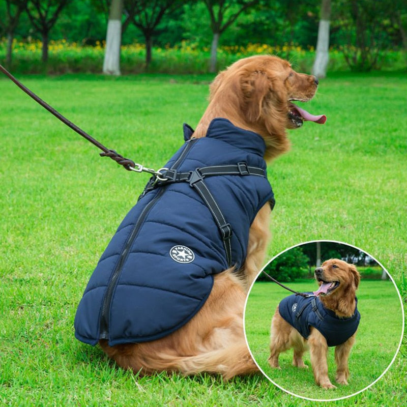 Insulated Dog Winter Coat with Harness – Warmth, Comfort & Safety