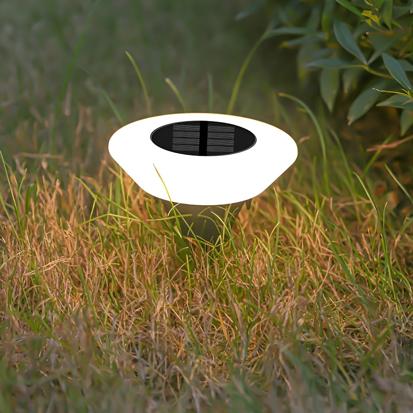 LumiSolaire – Elegant Solar LED Garden Light for Pathways and Patios