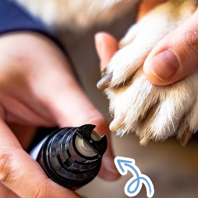 Premium Pet Nail Grinder – Effortless and Comfortable Grooming