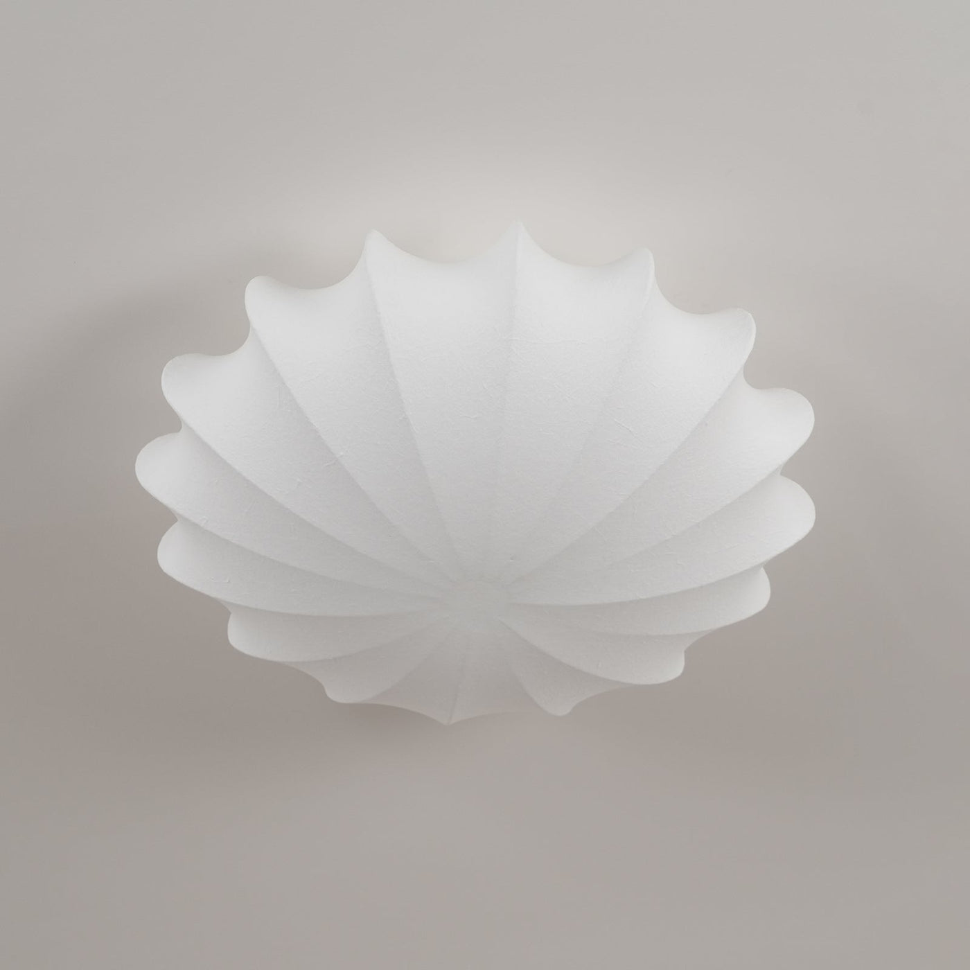 Seashell-Inspired Ceiling Light – Elegant Illumination with Organic Design