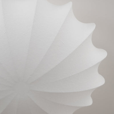 Seashell-Inspired Ceiling Light – Elegant Illumination with Organic Design