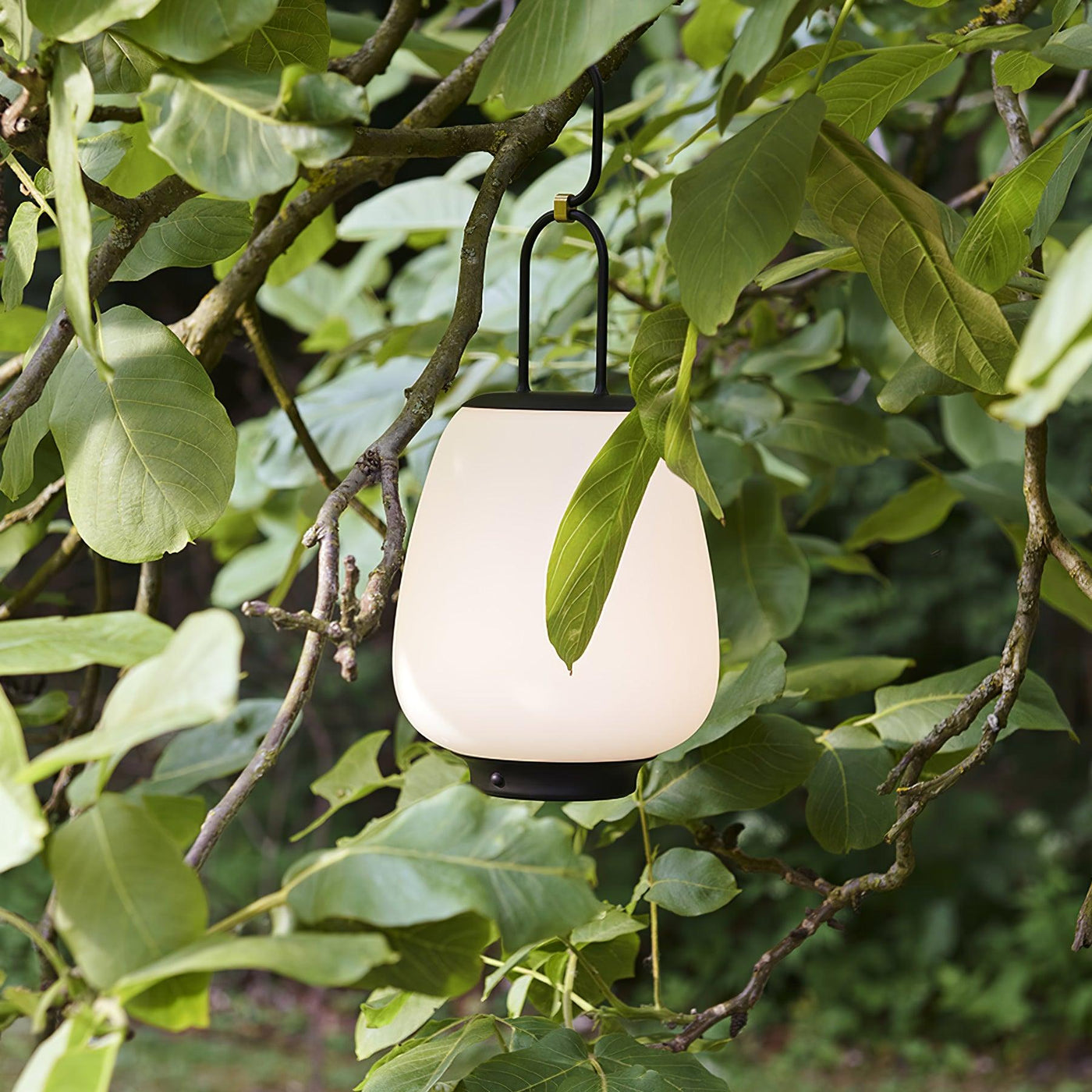 Portable Lantern Table Lamp – USB Rechargeable with Warm & Cool Light Modes