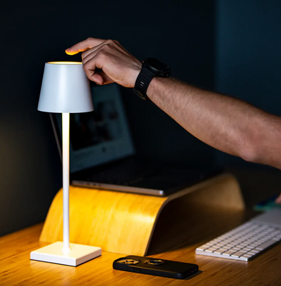 Lampshade Light – Wireless, Elegant & Portable Lighting Solution
