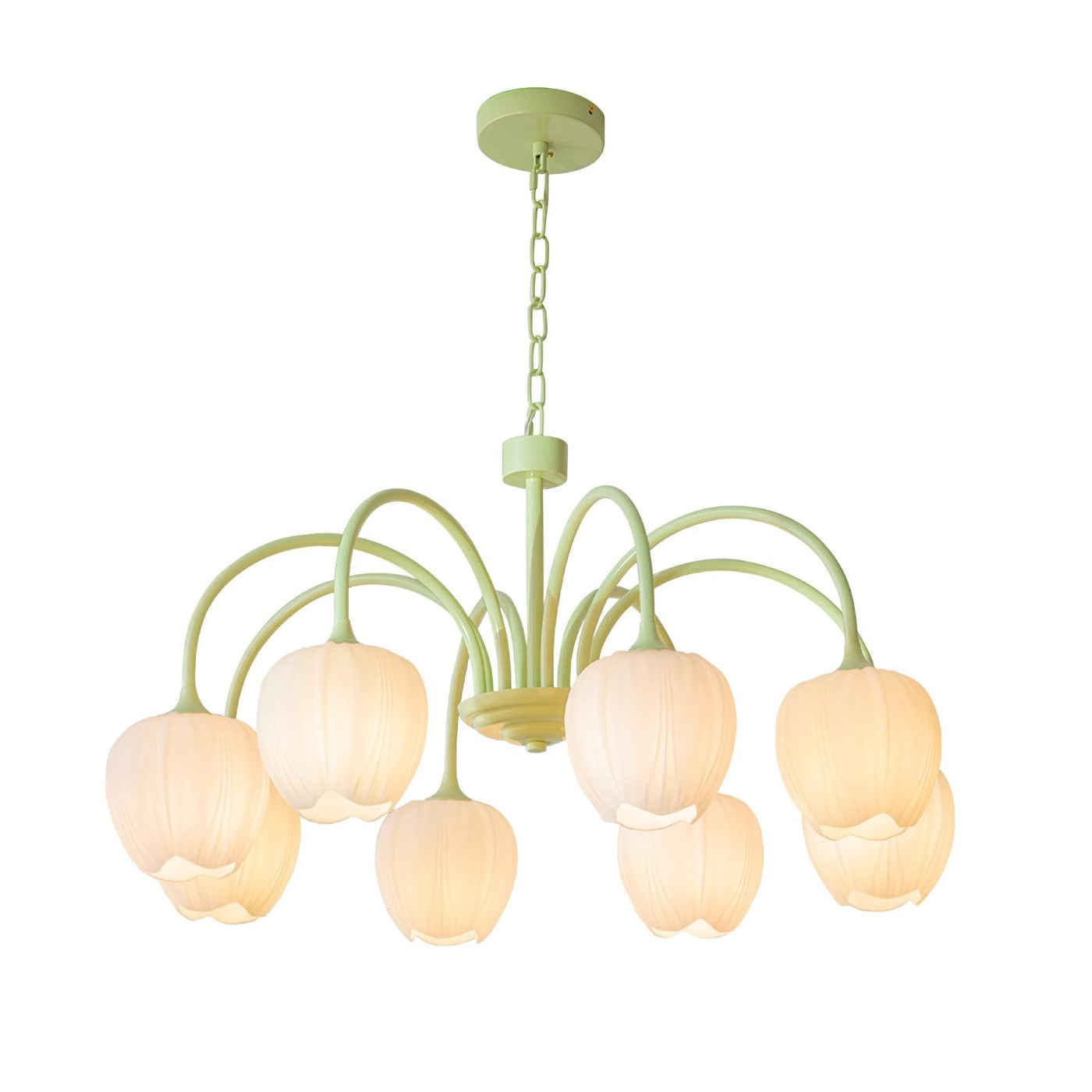 Tulip Matcha Chandelier – Elegant Floral-Inspired Lighting with Soft Ambience