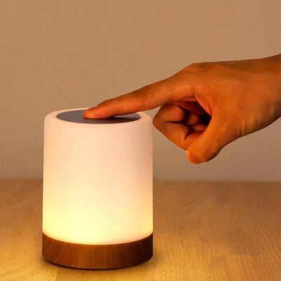 Halina Portable Rechargeable LED Lamp – Dimmable Touch Control Mood Light (USB Charging)