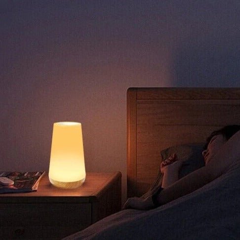 Halina Portable Rechargeable LED Lamp – Dimmable Touch Control Mood Light (USB Charging)