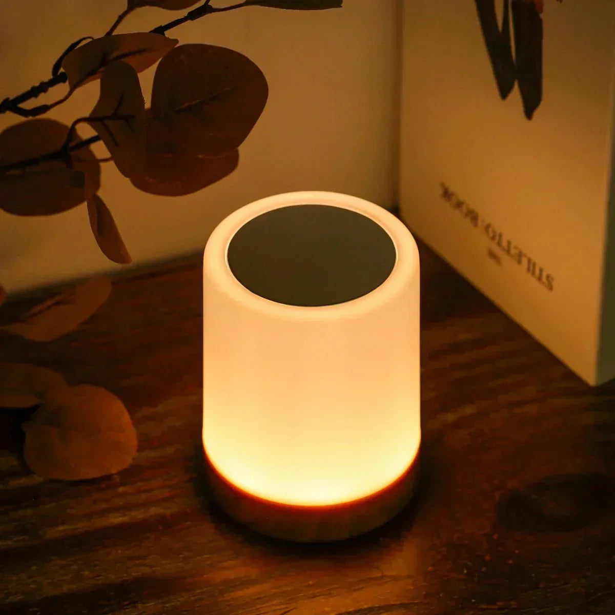 Halina Portable Rechargeable LED Lamp – Dimmable Touch Control Mood Light (USB Charging)