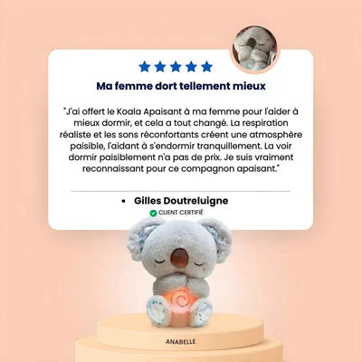 Néo, the Soothing Koala – Sensory Plush for Relaxation, Sleep & Anxiety Relief