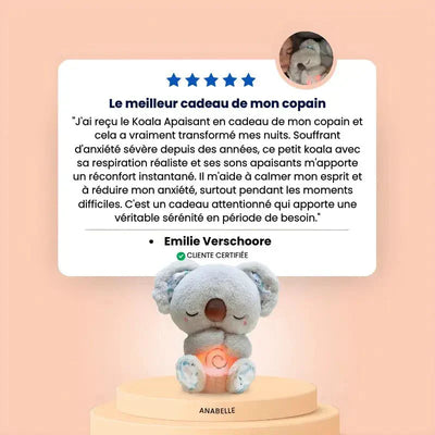 Néo, the Soothing Koala – Sensory Plush for Relaxation, Sleep & Anxiety Relief