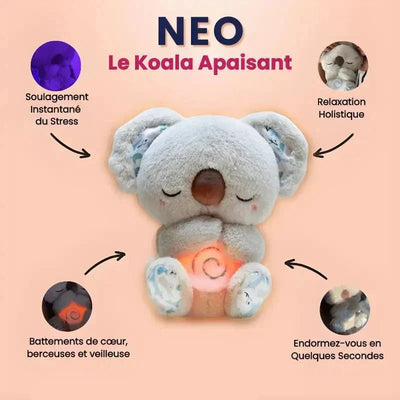 Néo, the Soothing Koala – Sensory Plush for Relaxation, Sleep & Anxiety Relief